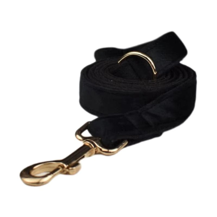 Leash / XS