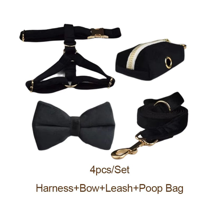 Harness + Leash + Bowtie + Poop Bag / XS