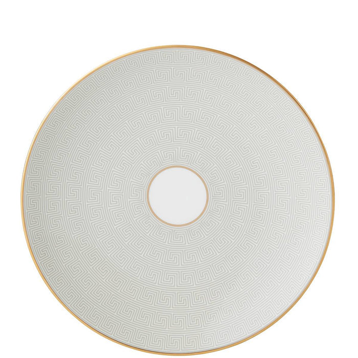 Delphi‚Ñ¢ Accent Plate