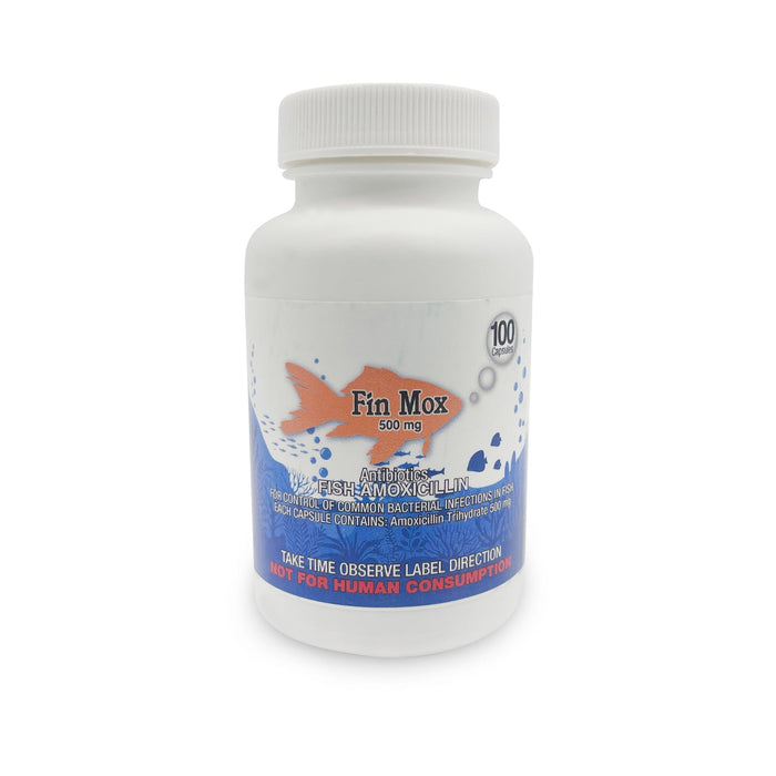 Fish Mox 500mg Capsules for Aquarium Fish – 100 Count – Water Care Support