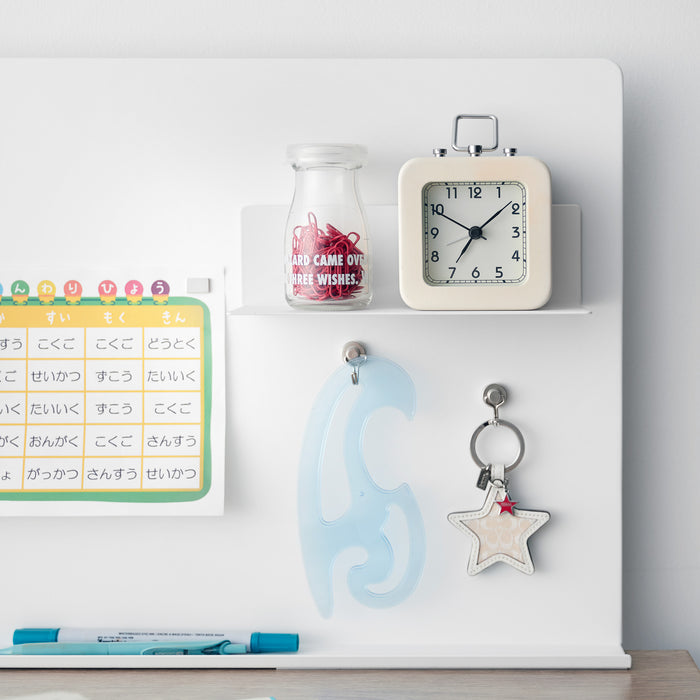 Magnetic Shelf