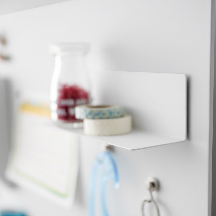 Magnetic Shelf