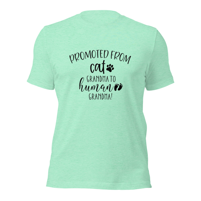 Promoted from Cat Grandma to Human Grandma T-Shirt